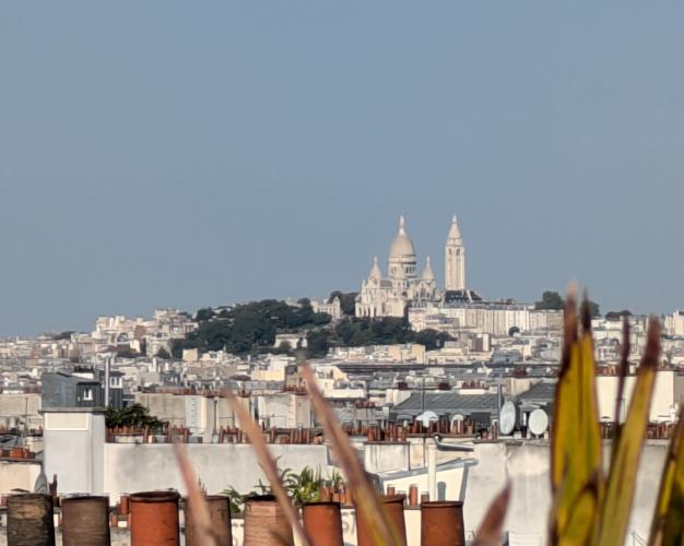 Montmartre Roofs